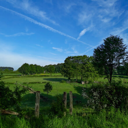 20180512083645-tussn-wirtzfeld-en-berg-natuur-eifellandschap-rund-um-den-see-fietsen-tiny-roads-4-road-bike-scaled.jpg