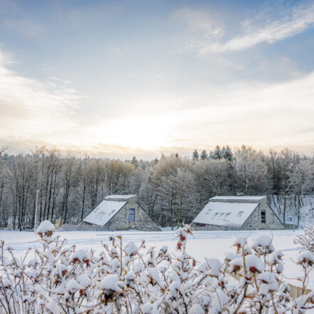 Bungalows in einer einladenden Winterlandschaft mitten in der Natur. Auf den Bäumen liegt Schnee.