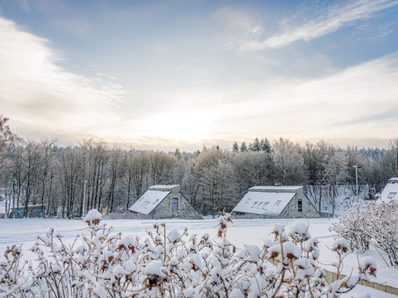 Bungalows in einer einladenden Winterlandschaft mitten in der Natur. Auf den Bäumen liegt Schnee.