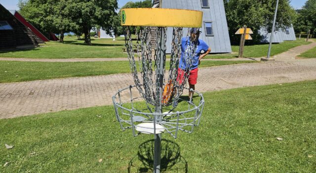 Disc Golf