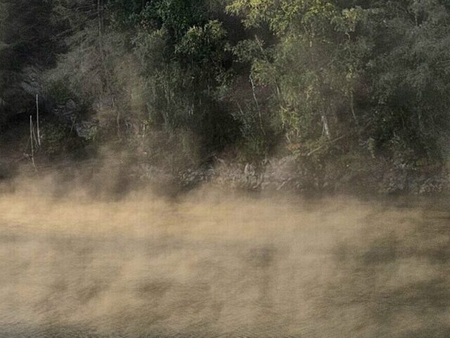 Nebel am See