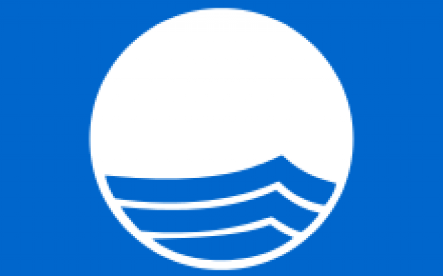220px-Blue_Flag_Logo.svg