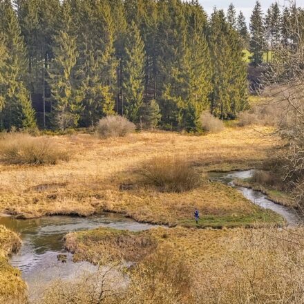 Tranquil river landscape, embedded in autumnal nature. An angler stands on the bank of a meandering stream, surrounded by golden grasses and shrubs. A dense coniferous forest rises up in the background, rounding off the scenery with natural beauty. The atmosphere is peaceful and secluded, ideal for a relaxing fishing trip.