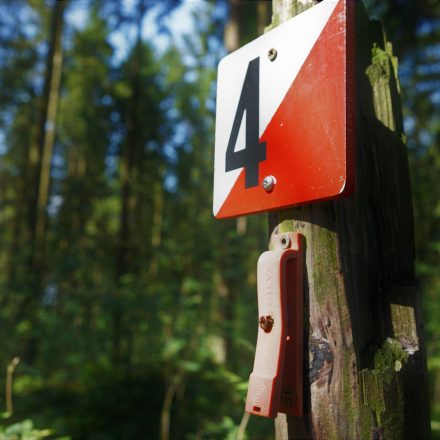 Orientierungslauf im Wald