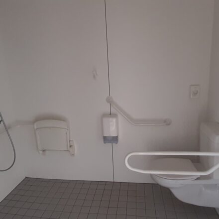 Badkamer voor PBM met steungrepen naast het toilet en aan de gelijkvloerse douche, douchezitje en een laag gemonteerde wastafel.