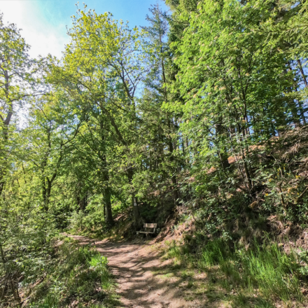 buetgenbach-mtb2-gopr1270-scaled.png