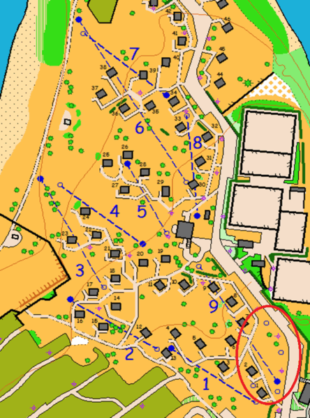 carte-disc-golf.png
