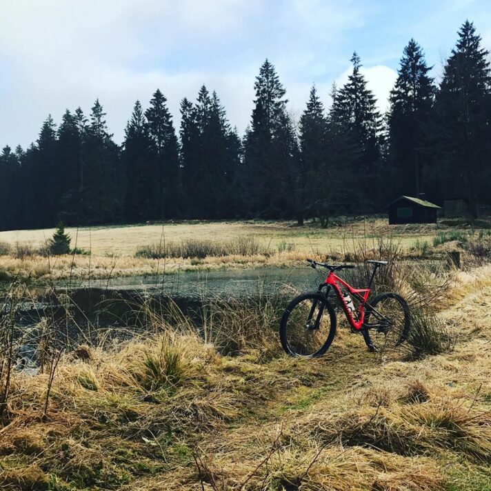 Fahrad_Natur_stehend_weiher