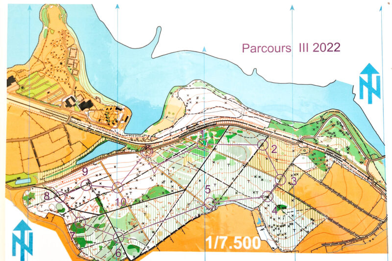 karte-orientierungslauf-worriken-scaled.jpg