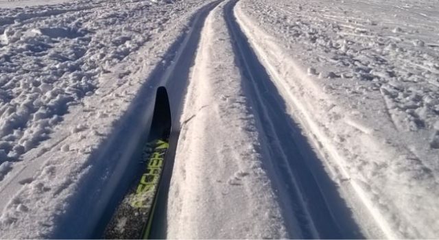 Ski Langlauf