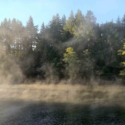 nebel-am-see-von-robertville-scaled.jpg