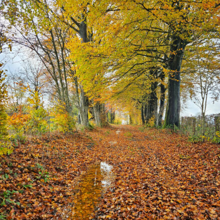 November Groad Ride Knotenpunkt 56