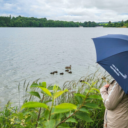 regenschirm-erwachsenen-worriken-scaled.jpg