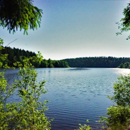 see-von-buetgenbach-zomer-meer-van-buetgenbach-4-scaled.jpg
