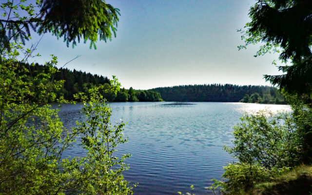 See von Bütgenbach zomer meer van Bütgenbach 4