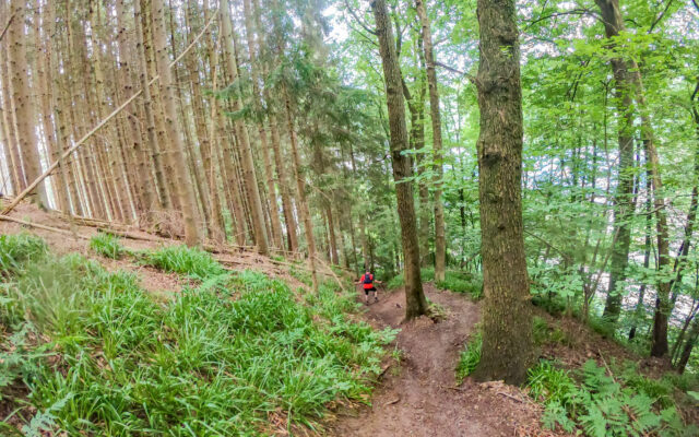 Coureur dans la forêt