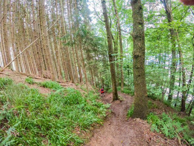 Coureur dans la forêt