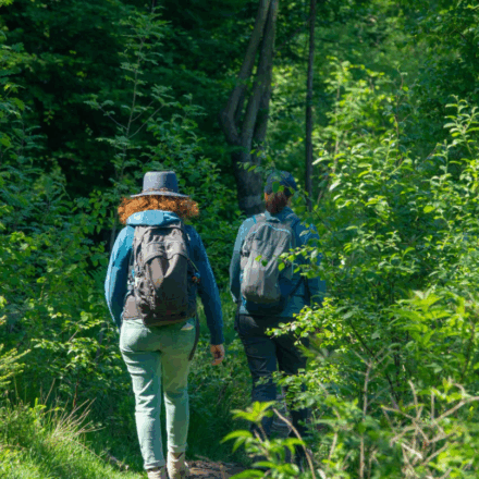 Das Bild zeigt zwei Personen, die auf einem schmalen, von üppigem Grün umgebenen Pfad durch den Wald wandern. Beide tragen Wanderrucksäcke und wetterfeste Kleidung. Der Weg ist von dichtem Laub und kleineren Bäumen gesäumt, was auf eine naturbelassene Umgebung hinweist. Die Szene strahlt Ruhe und Verbundenheit mit der Natur aus.