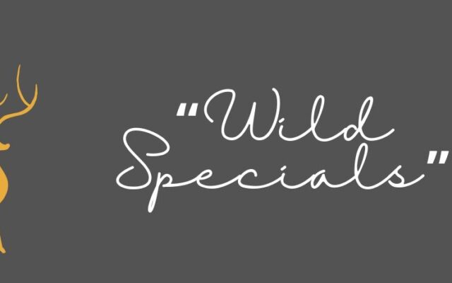 Dessin d'un cerf avec l'inscription « Wild Specials » à côté