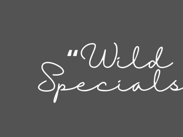 Zeichnung eines Hirsches mit der Aufschrift „Wild Specials“ daneben