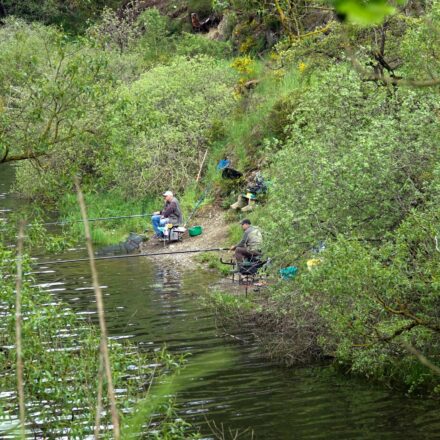 Entspanntes Angeln inmitten der Natur am Bütgenbacher See: Ruhe, Idylle und Erholung pur in Worriken!