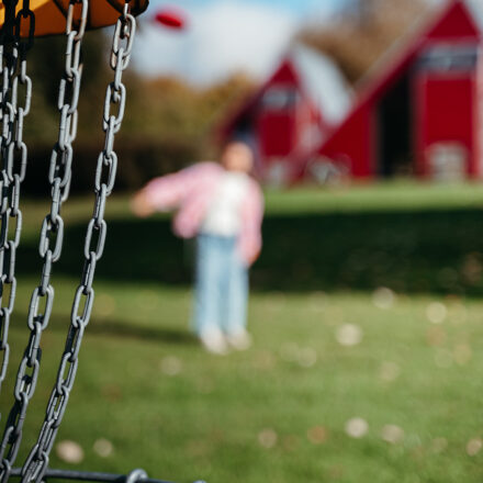 worriken-disc-golf.jpg