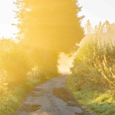 zwischen-bruyeres-und-walk-bei-sonnenaufgang-scaled.jpg